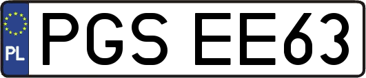 PGSEE63
