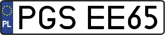 PGSEE65