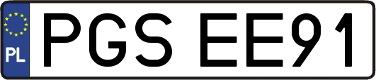 PGSEE91