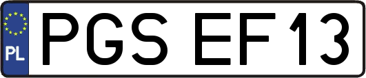 PGSEF13