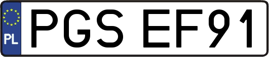 PGSEF91