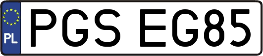 PGSEG85