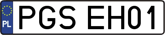 PGSEH01