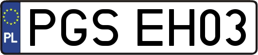 PGSEH03