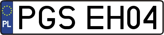 PGSEH04