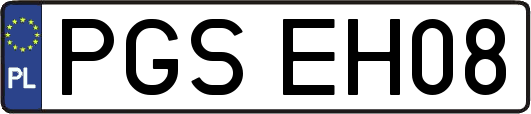PGSEH08