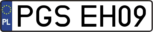PGSEH09