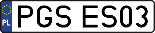 PGSES03