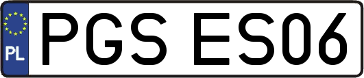 PGSES06