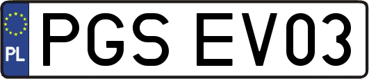 PGSEV03
