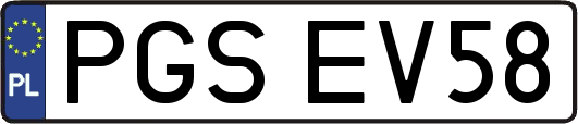PGSEV58