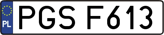 PGSF613