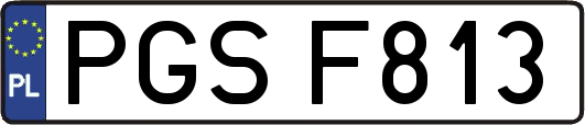 PGSF813