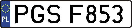 PGSF853