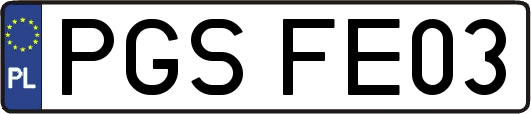 PGSFE03