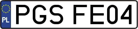 PGSFE04