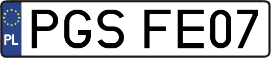 PGSFE07