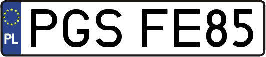 PGSFE85