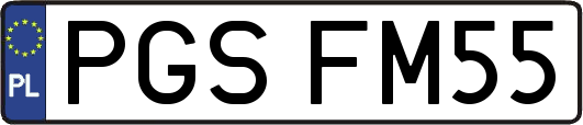 PGSFM55