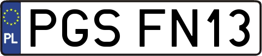 PGSFN13