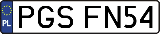 PGSFN54