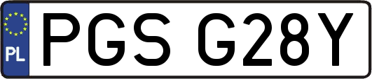 PGSG28Y