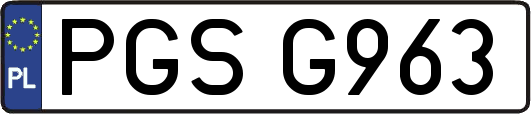 PGSG963