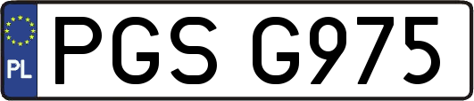PGSG975
