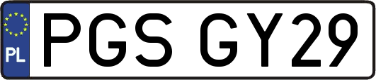 PGSGY29