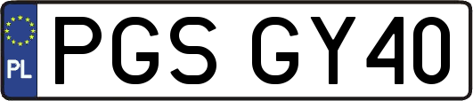PGSGY40