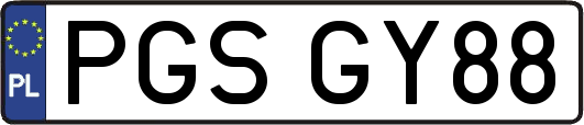 PGSGY88