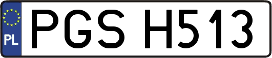 PGSH513