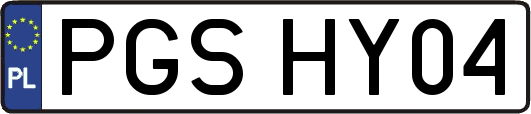PGSHY04