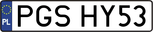 PGSHY53