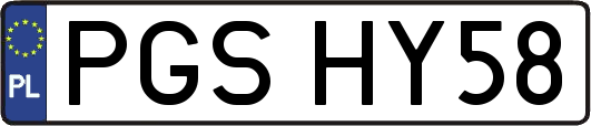 PGSHY58