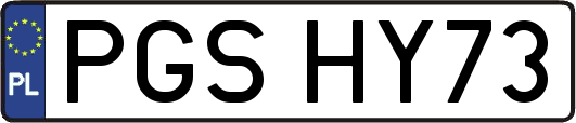 PGSHY73