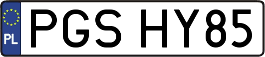 PGSHY85
