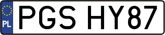 PGSHY87