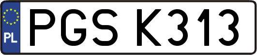 PGSK313