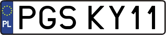 PGSKY11