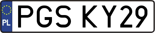 PGSKY29
