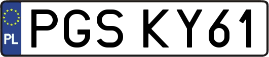 PGSKY61