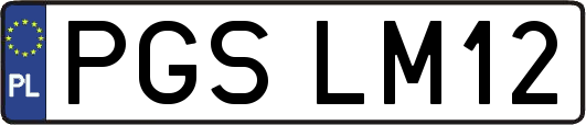 PGSLM12
