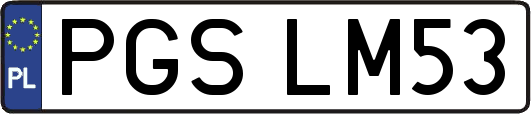 PGSLM53