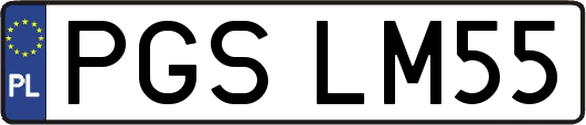 PGSLM55