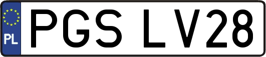 PGSLV28