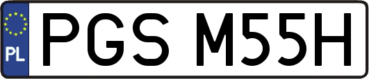 PGSM55H