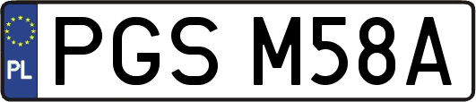 PGSM58A