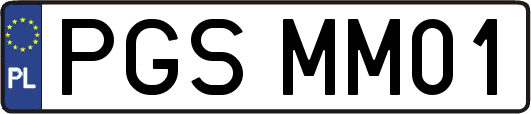 PGSMM01