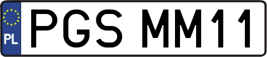 PGSMM11